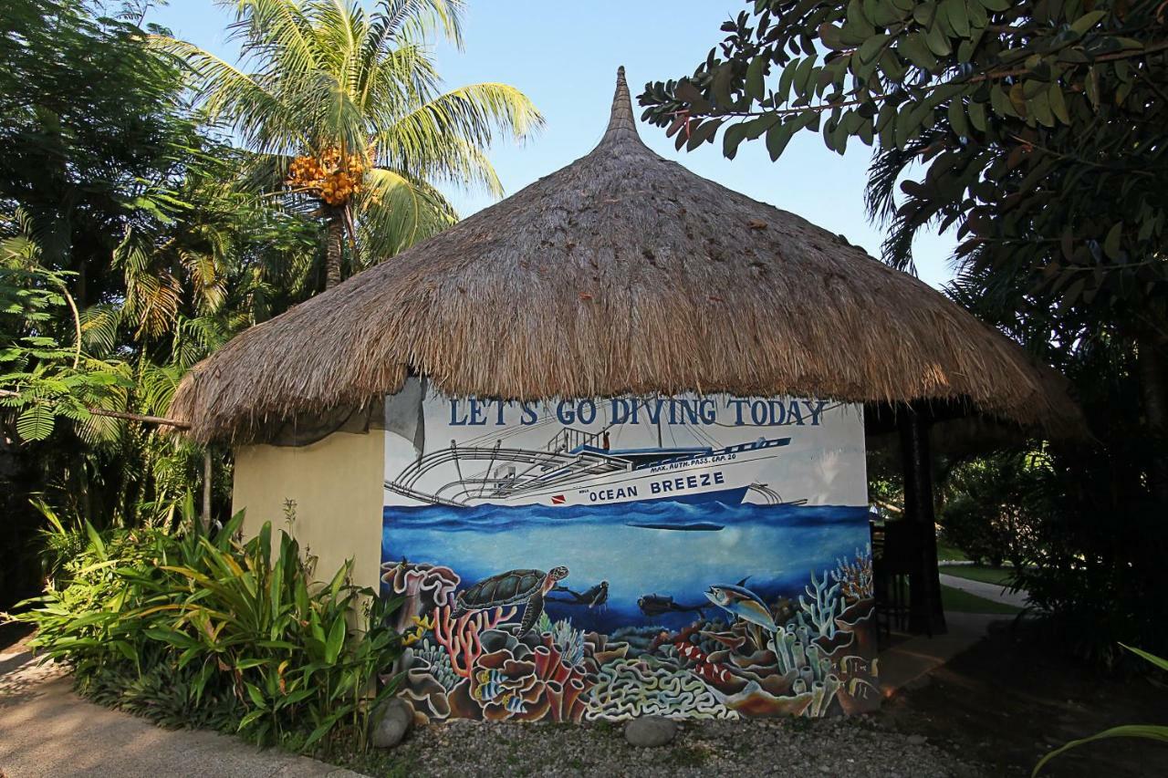 Thalatta Resort Zamboanguita  Bagian luar foto